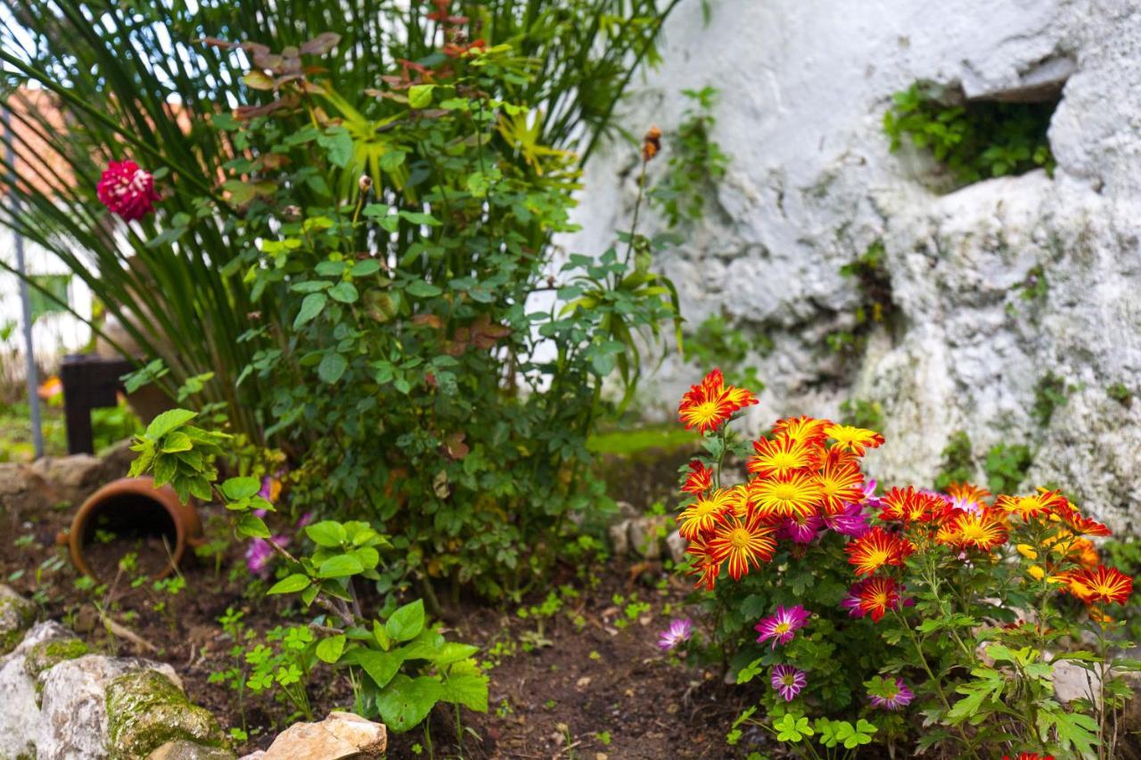 Hacienda El Molino Villa เอลบอสเก ภายนอก รูปภาพ
